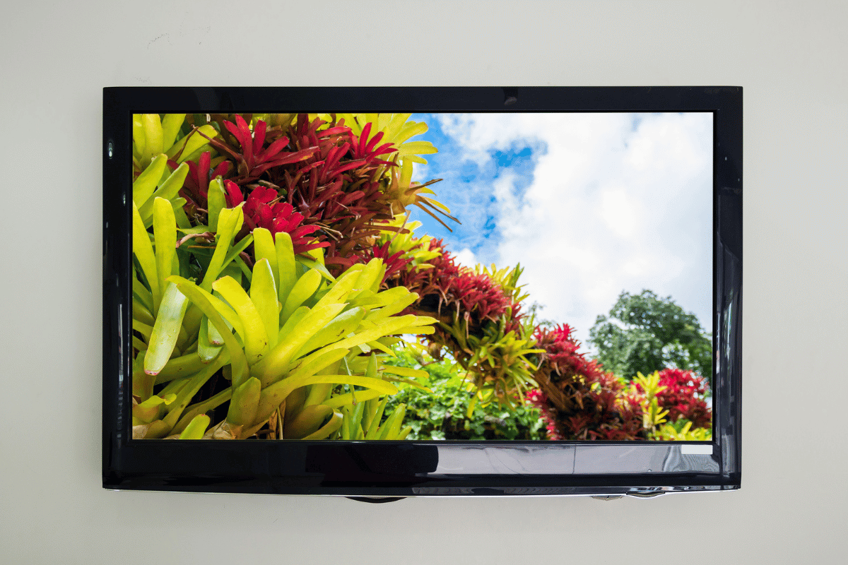 Pengertian TV LCD dan LED
